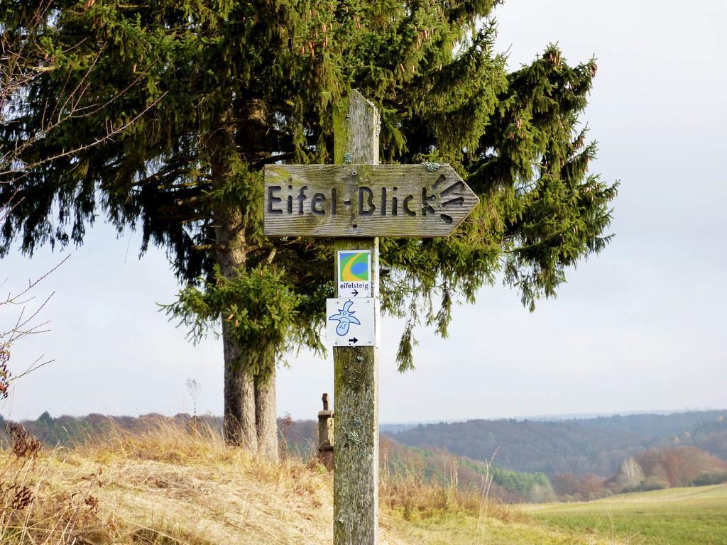 Relaxen Am Nationalpark Eifel Βίλα Ahrhutte Εξωτερικό φωτογραφία